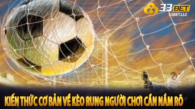 Kiến thức cơ bản về kèo rung người chơi cần nắm rõ