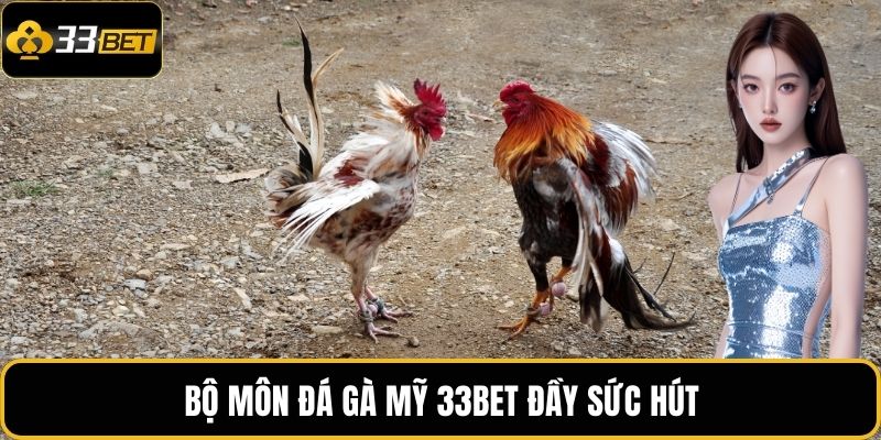 Đá Gà Mỹ 33BET - Trận Đấu Đối Kháng Lôi Cuốn Tại Nhà Cái 2 Bộ môn đá gà Mỹ 33BET đầy sức hút