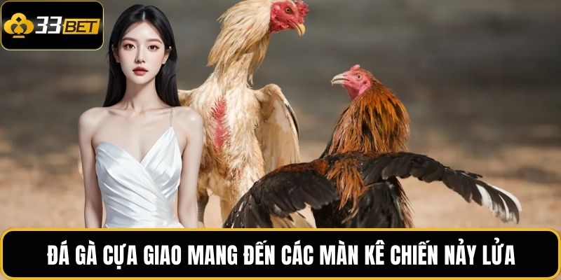 Đá gà cựa giao mang đến các màn kê chiến nảy lửa