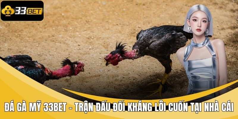 Đá gà Mỹ 33BET