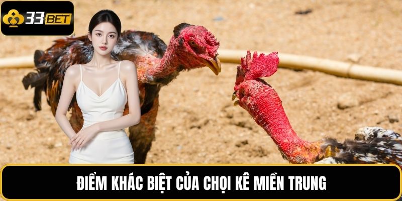 Đá Gà Nòi 33BET – Tinh Hoa Võ Thuật Gà Chọi Việt Nam 3 Điểm khác biệt của chọi kê miền Trung