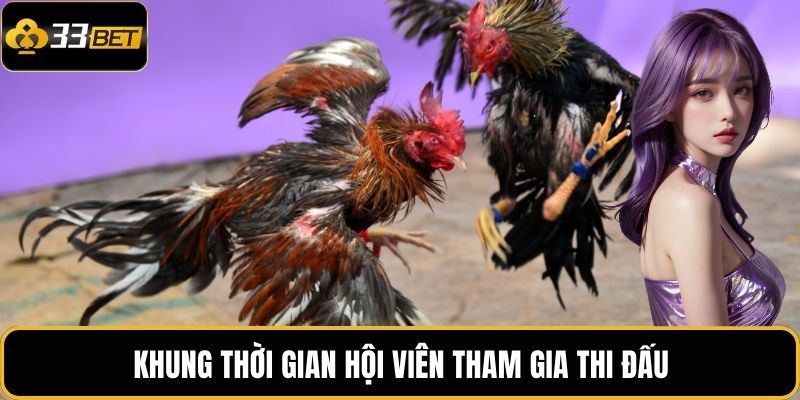 Đá Gà Trực Tuyến 33BET – Trải Nghiệm Cá Cược Đam Mê 4 Khung thời gian hội viên tham gia thi đấu