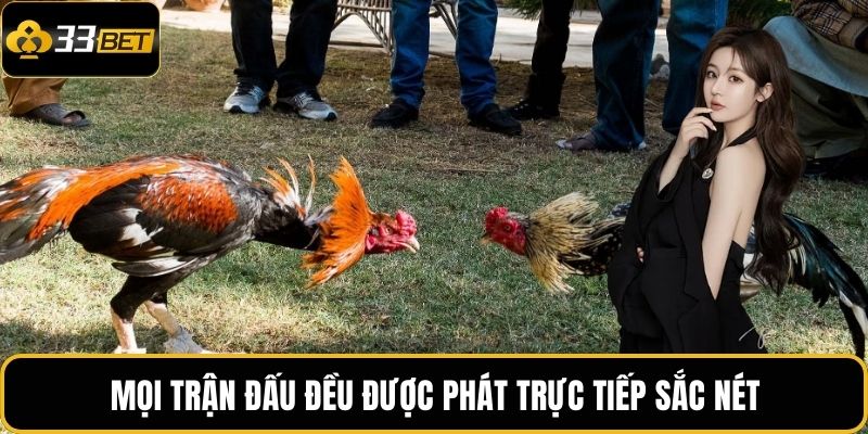 Mọi trận đấu đều được phát trực tiếp sắc nét