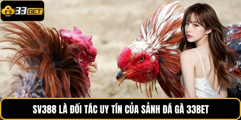 SV388 là đối tác uy tín của sảnh đá gà 33BET