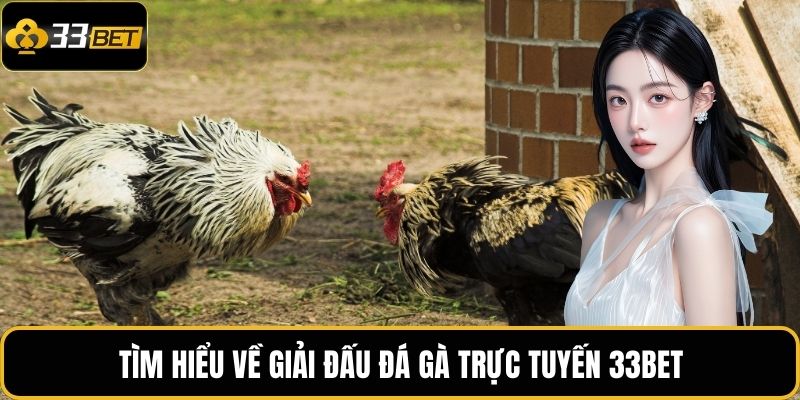 Đá Gà Trực Tuyến 33BET – Trải Nghiệm Cá Cược Đam Mê 2 Tìm hiểu về giải đấu đá gà trực tuyến 33BET